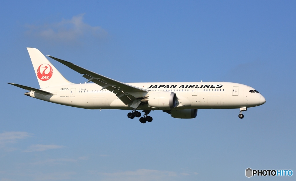 JAL 787-8 離陸　