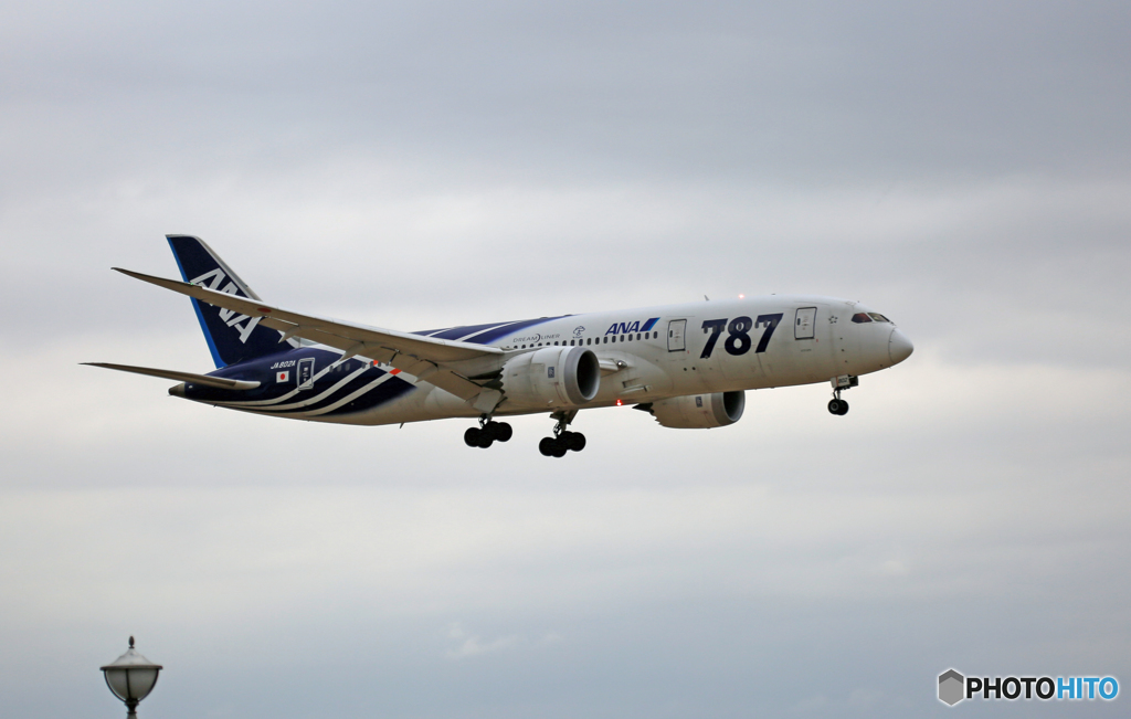 Landing☁ANA 787-8 サバ塗装２号機JA802A