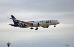 Landing☁ANA 787-8 サバ塗装２号機JA802A