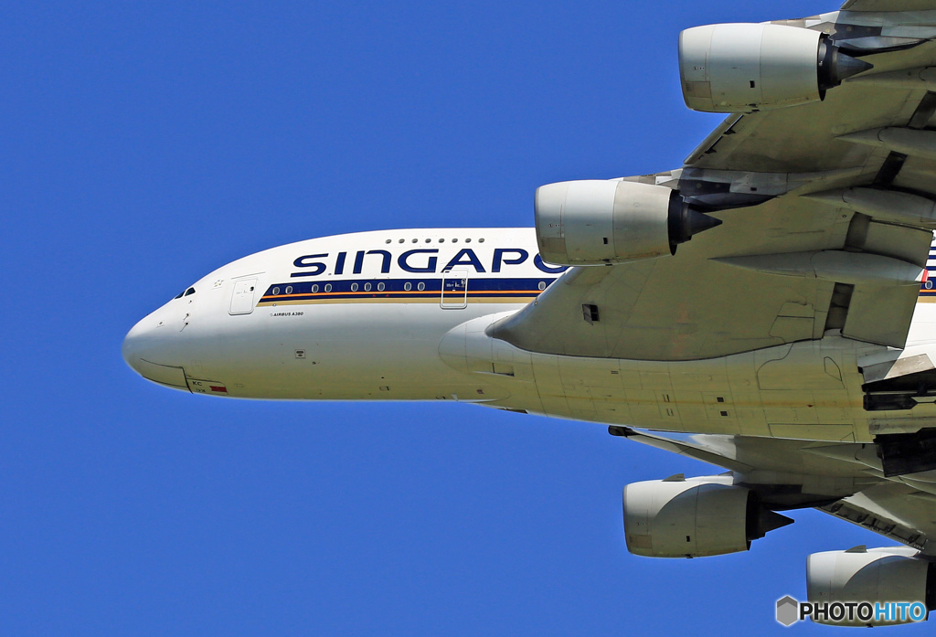 Singapore A380 ｰ怪鳥