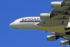 Singapore A380 ｰ怪鳥