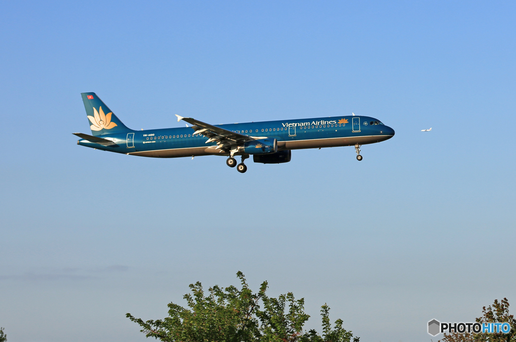 「そらー」  Vietnam A321-231 VN-A610  着陸