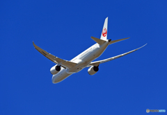 「そらー」 JAL 787-9 JA862J離陸