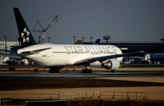 STAR ALLIANCE 767-300