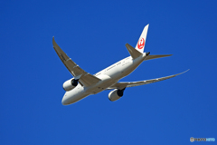 「ぶるー」 JAL 787-8 JA845J 飛行 
