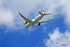 「はれー」 JAL 787-9 JA863J 飛び立ち 「はれー」 JAL 787-9 JA863J 飛び立ち