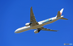 「ぶるー」 JAL JET KEI 777-346 JA733J