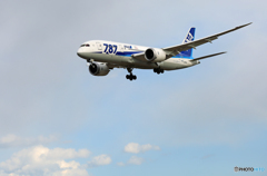  Landing  ANA 787-8 JA814A