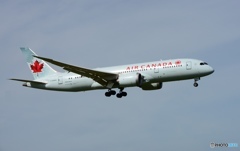 着陸　Air Canada 787-8
