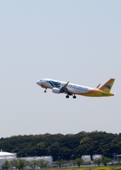 CEBU PACIFIC　A320