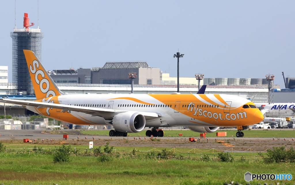 scoot 787-9 離陸　