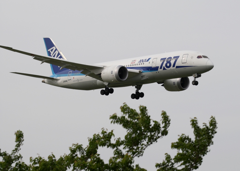 ANA 787-8 到着　