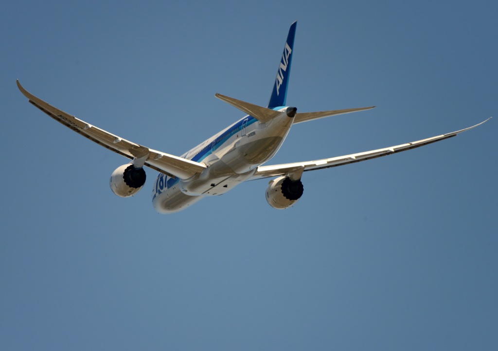 ANA 787-8 飛行