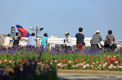☮休憩ﾀｲﾑ(370) 空港風景 ジャンボ出発でぇーす。