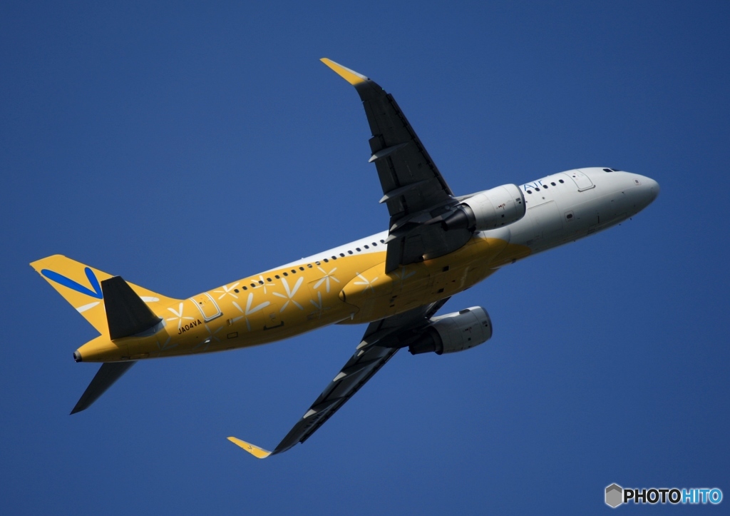 Vanilla A320-216 飛行　