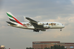 「青空」エミレーツ航空A380-861動物愛護A6-EEQ到着 「青空」エミレーツ航空A380-861動物愛護A6-EEQ到着