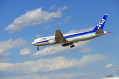 　[青い空]　ANA 767-381 JA617A
