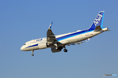 ☀ A320-neo 271N JA212A Landing