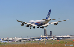 NCA 747-8KZF JA11KZ/ジャンボ保存委員会