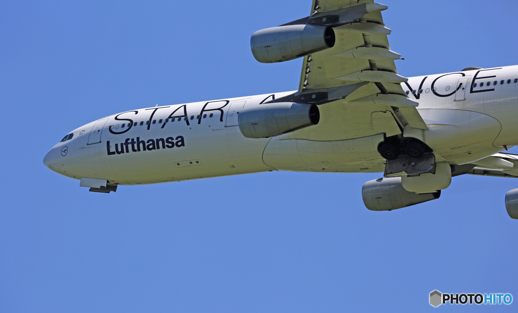 飛び立ち　Lufthansa A340-313 D-AIGN