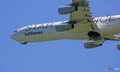 飛び立ち　Lufthansa A340-313 D-AIGN