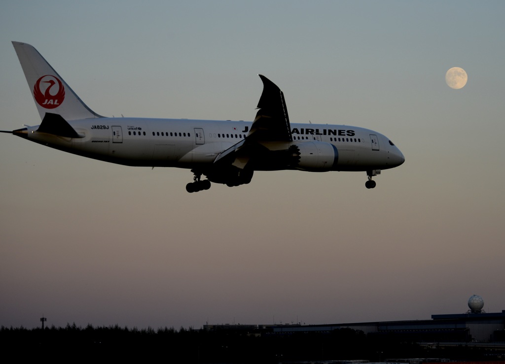 着陸（171）JAL 787-8　お月