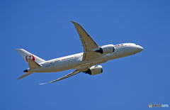 飛行 JAL 787-8 JA839J