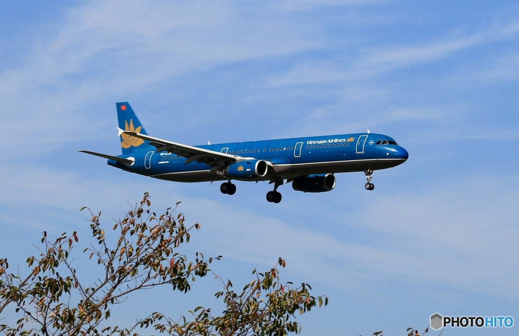 着陸 vietnam A321-231