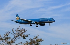 着陸 vietnam A321-231