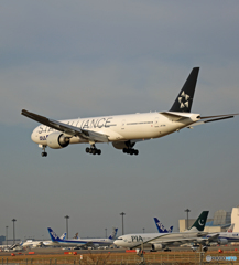 着陸  ANA STAR 777-381 JA731A