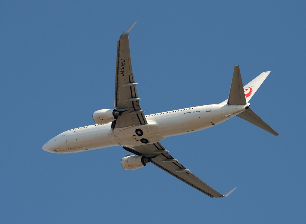 JAL 737-846