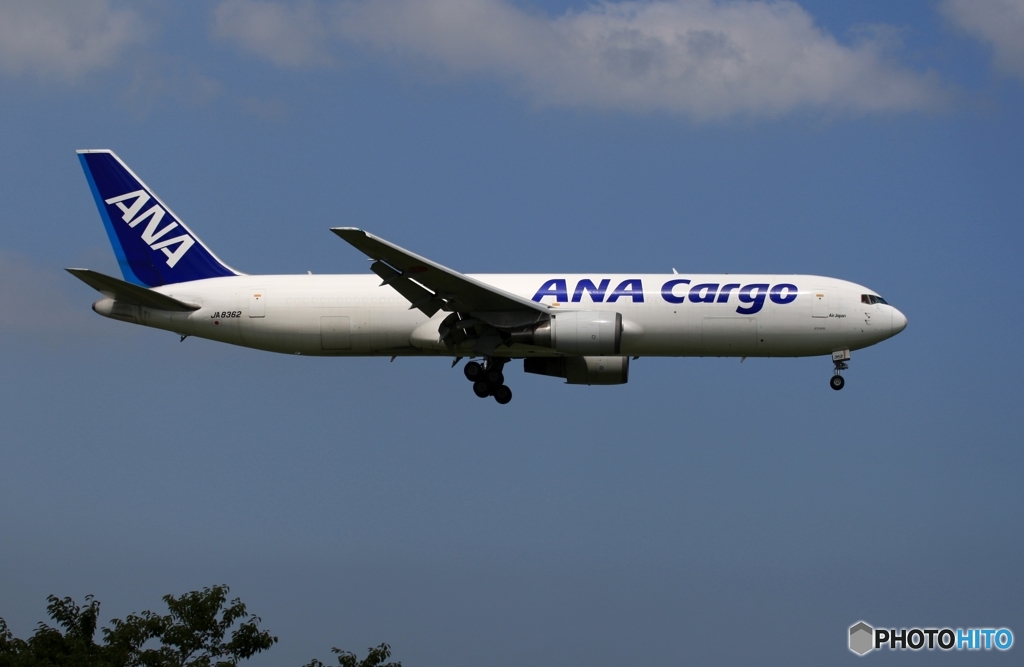 到着　ANA Cargo 767-300
