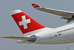 白十字の尾翼のみです?（＋ +）