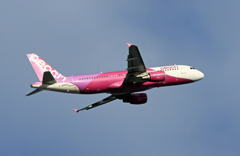 peach A320-214 JA802P 飛び立ち　