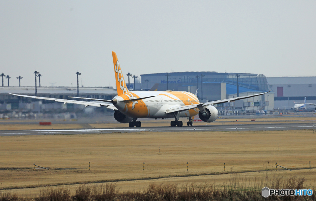 「スカイ」　scoot 787-9 9V-OJO 離陸