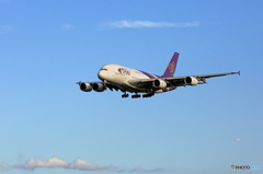 「青い空」 THAI A380-841 HS-TUF