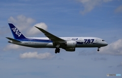 ANA 787-8 着地前