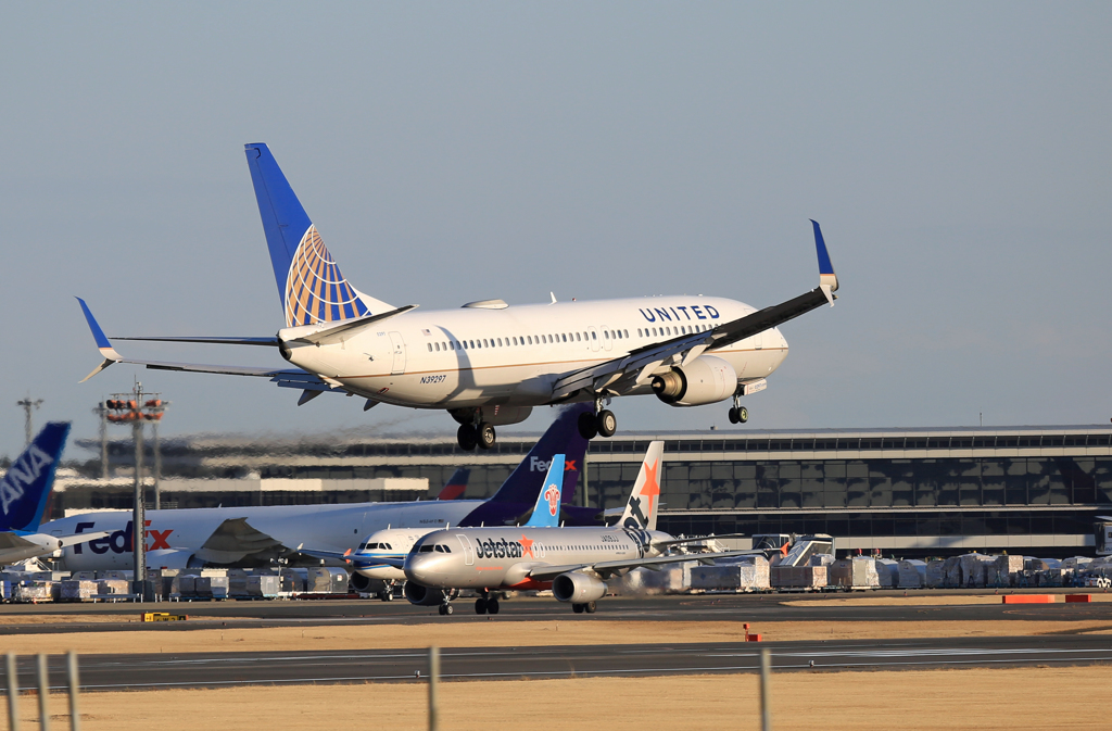 「ｼﾐﾀｰﾙｳｲﾝｸﾞﾚｯﾄ」UNITED 737-800 N39297