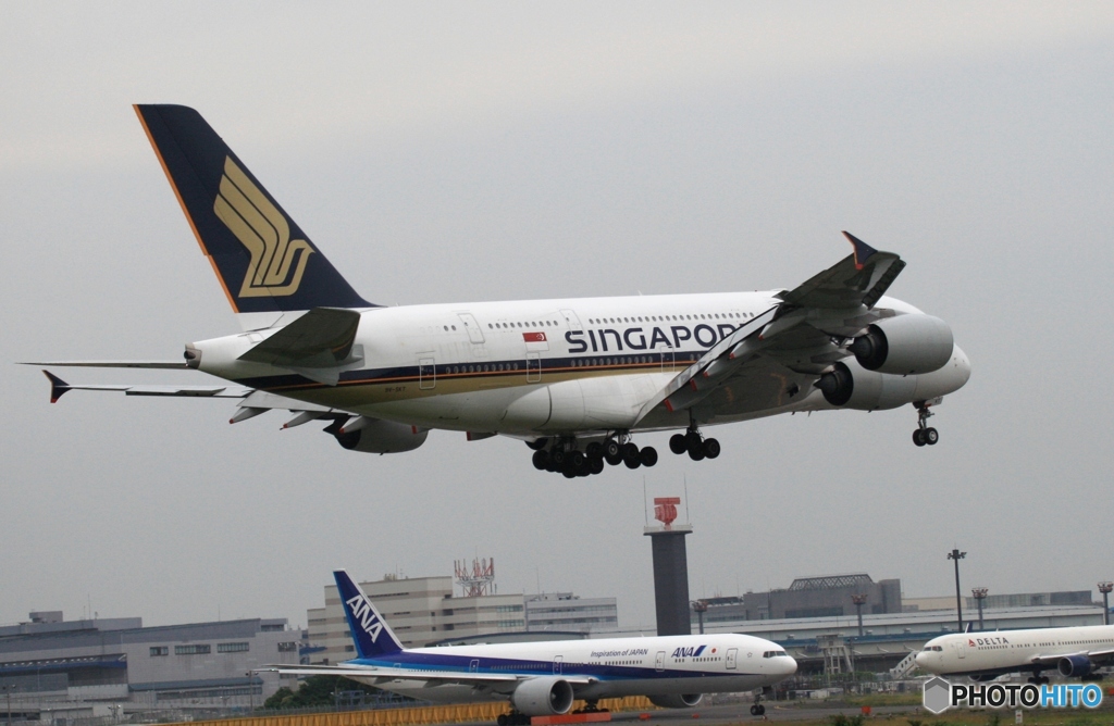 到着　SINGAPORE A380-841