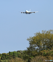 「ぶるー」 Korean Cargo 747-8 HL7629 着陸