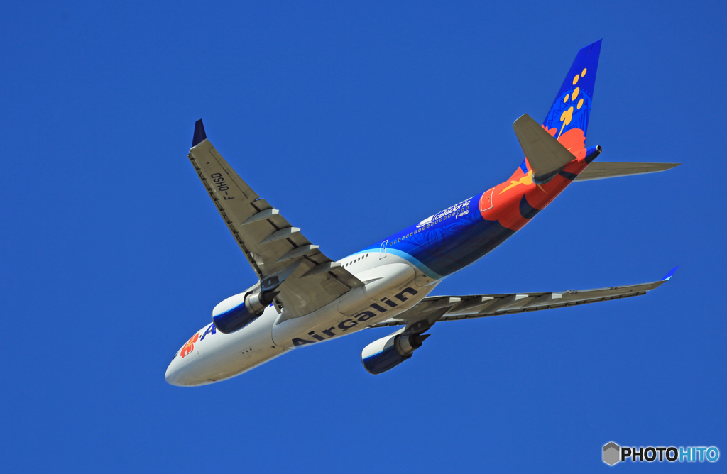 「青空」 Air Calin A330-202 F-OHSD ☀ 