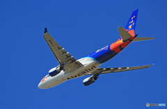 「青空」 Air Calin A330-202 F-OHSD ☀ 