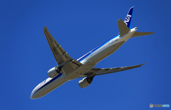 「SKY」 ANA 777-381 JA782A Takeoff