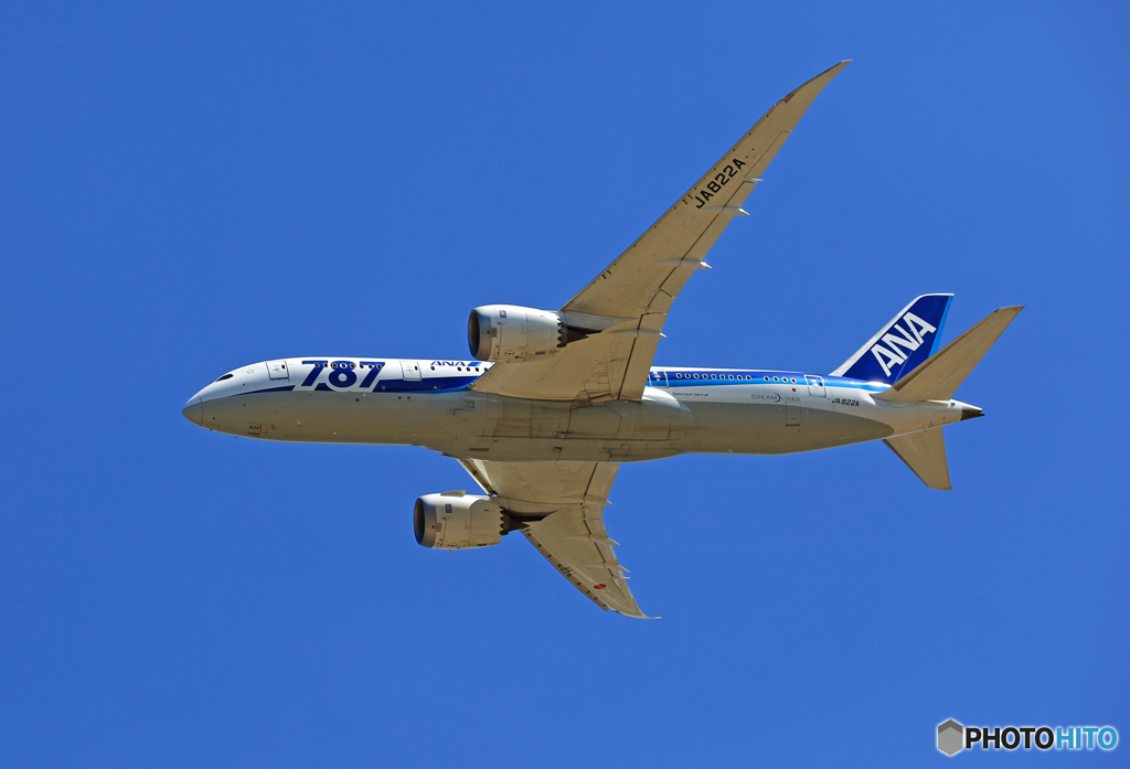 「ぶるー」 ANA 787-8 JA822A離陸
