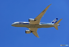 「ぶるー」 ANA 787-8 JA822A離陸