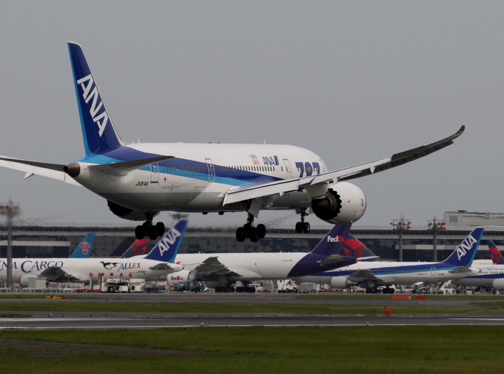 着陸　ANA 787-8