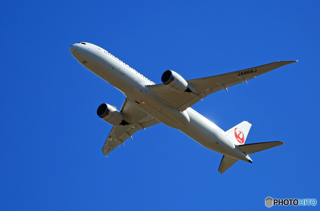 「ぶるー」 JAL 787-9 JA866J
