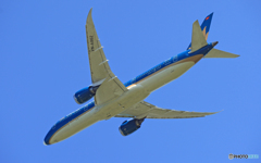 　[青い空]Vietnam 787-9 VN-A862離陸