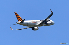 飛び立ち tigerair A320-232 B-50015