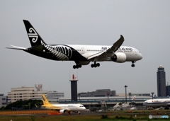 AIR NEW ZEALAND 787-9 到着　